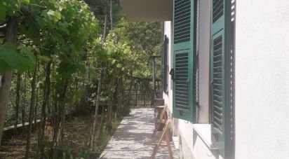 House 6 rooms of 240 m² in Fivizzano (54013)