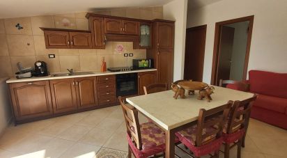 Varie superfici 9 locali di 230 m² a Amantea (87032)