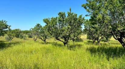 Terreno di 8.851 m² in Ostuni (72017)