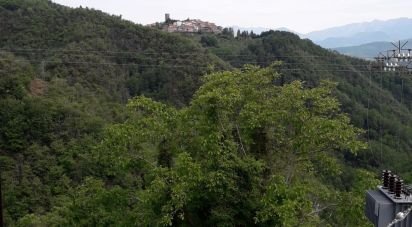 House boat 0 rooms of 110 m² in Fivizzano (54013)