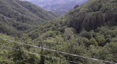 House boat 0 rooms of 110 m² in Fivizzano (54013)