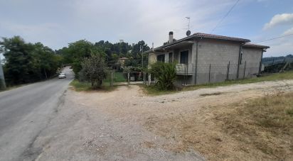 Casa indipendente 11 locali di 260 m² in Morro d'Oro (64020)