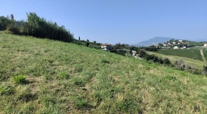 Land of 7,080 m² in Cossignano (63067)