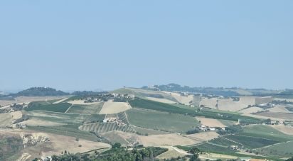 Land of 7,080 m² in Cossignano (63067)