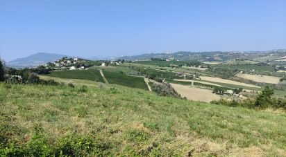 Land of 7,080 m² in Cossignano (63067)