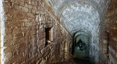 Rustico 23 locali di 400 m² in Falerone (63837)