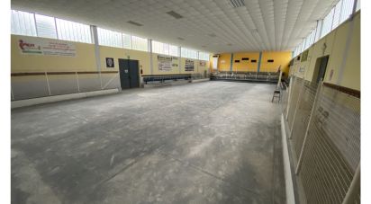 Warehouse of 1,780 m² in Serravalle Scrivia (15069)