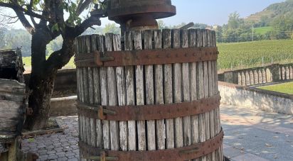 Retail property of 1,000 m² in Gavi (15066)