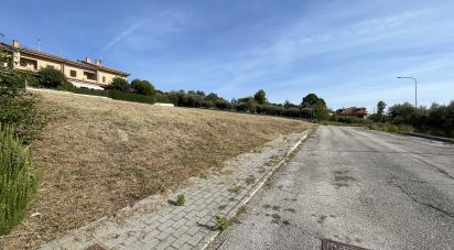 Terreno di 4.000 m² in Montegranaro (63812)