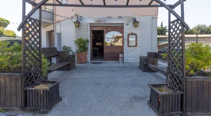 Shop / premises commercial of 196 m² in Loreto (60025)