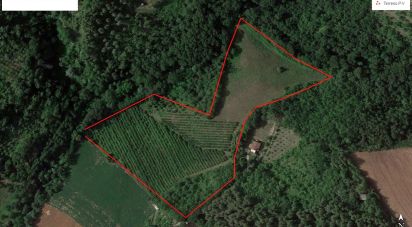 Terreno agricolo di 67.000 m² in Ponzano di Fermo (63845)