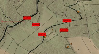 Terreno agricolo di 67.000 m² in Ponzano di Fermo (63845)