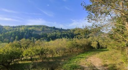 Terreno agricolo di 67.000 m² in Ponzano di Fermo (63845)