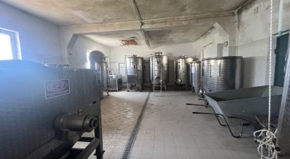 Farm 0 rooms of 18,000 m² in Gavi (15066)