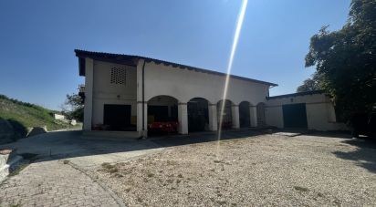 Farm 0 rooms of 18,000 m² in Gavi (15066)