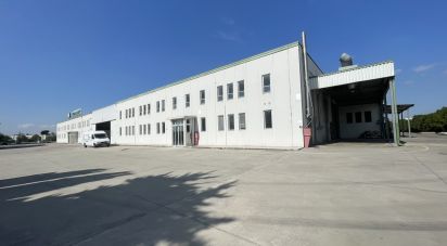 Warehouse of 3,500 m² in Morrovalle (62010)