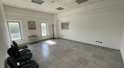 Capannone di 3.500 m² in Morrovalle (62010)