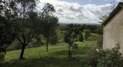 Rifugio 4 locali di 135 m² in Scansano (58054)