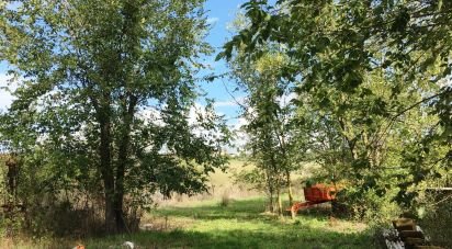 Rifugio 4 locali di 135 m² in Scansano (58054)