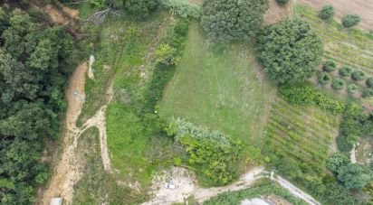 Warehouse of 540 m² in Civitanova Marche (62012)