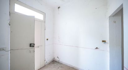 Casa indipendente 3 locali di 113 m² in Tresigallo (44039)