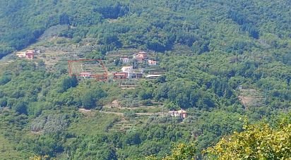 Townhouse 5 rooms of 116 m² in Mezzanego (16046)