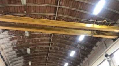 Capannone di 1.200 m² in Cantiano (61044)