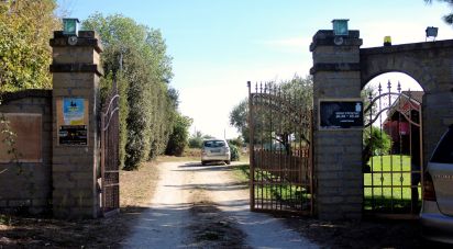 Farm 7 rooms of 150 m² in Ardea (00040)