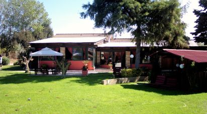 Farm 7 rooms of 150 m² in Ardea (00040)