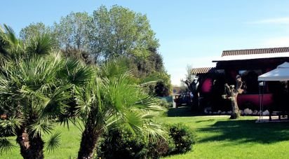 Farm 7 rooms of 150 m² in Ardea (00040)