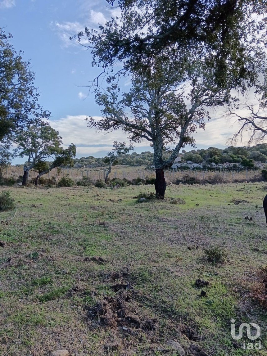 Terreno di 40.000 m² in Telti (07020)