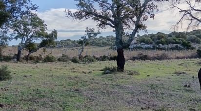 Terreno di 40.000 m² in Telti (07020)