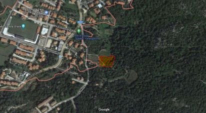 Land of 3,894 m² in Calangianus (07023)