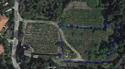 Land of 3,894 m² in Calangianus (07023)