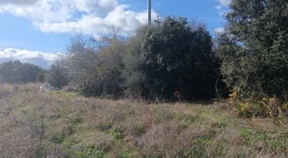 Terreno di 768 m² in Telti (07020)