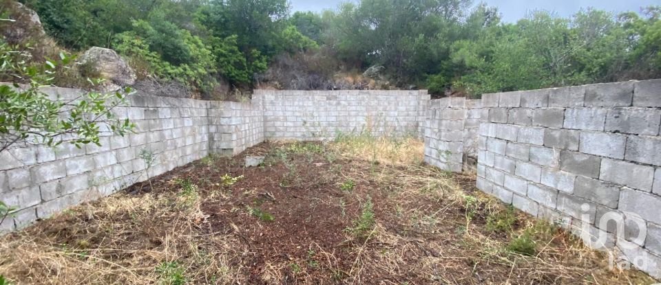 Terreno di 22.000 m² in Olbia (07026)