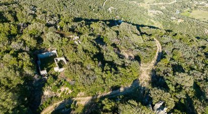 Terreno di 22.000 m² in Olbia (07026)