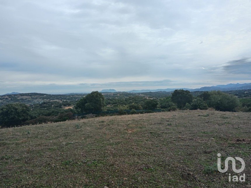 Land of 43,757 m² in Telti (07020)