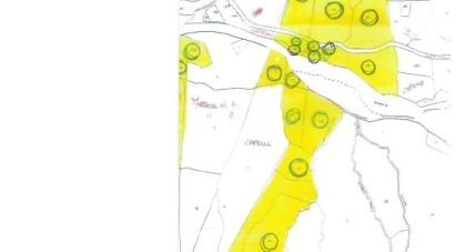 Terreno di 190.000 m² in Santa Fiora (58037)