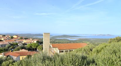 Bilocale di 52 m² a Santa Teresa Gallura (07028)