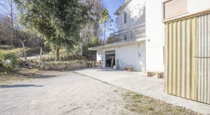 Rifugio 7 locali di 173 m² in Falerone (63837)