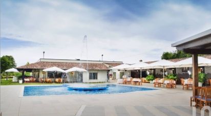 Restaurant of 1,300 m² in Colledara (64042)