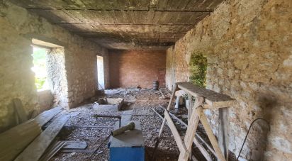 Shop / premises commercial of 481 m² in Sant'Elia Fiumerapido (03049)