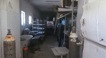 Shop / premises commercial of 481 m² in Sant'Elia Fiumerapido (03049)