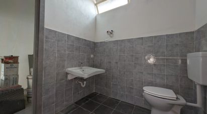 Shop / premises commercial of 35 m² in Sala Baganza (43038)