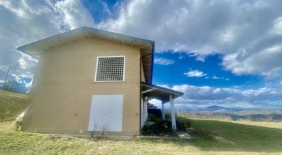 Traditional house 8 rooms of 270 m² in Controguerra (64010)