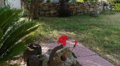 Terreno di 5.600 m² in Oliena (08025)