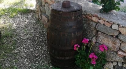 Terreno di 5.600 m² in Oliena (08025)