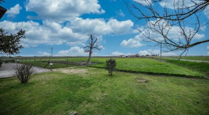 Casa indipendente 9 locali di 585 m² in Ostellato (44020)