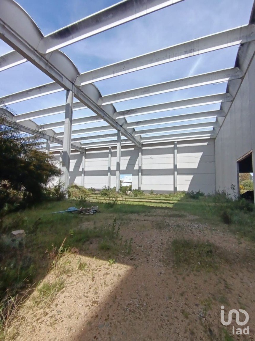 Warehouse of 2,014 m² in Olbia (07026)